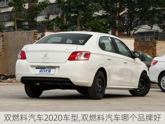 雙燃料汽車2020車型,雙燃料汽車哪個(gè)品牌好