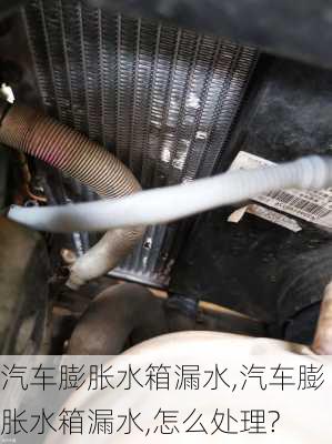 汽車膨脹水箱漏水,汽車膨脹水箱漏水,怎么處理?