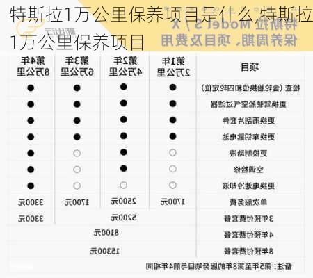 特斯拉1萬公里保養(yǎng)項目是什么,特斯拉1萬公里保養(yǎng)項目