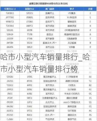 哈市小型汽車銷量排行_哈市小型汽車銷量排行榜