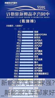 新能源汽車哪家強(qiáng)?_新能源汽車那家好