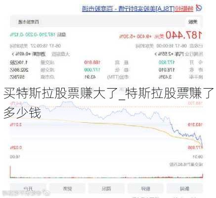 買特斯拉股票賺大了_特斯拉股票賺了多少錢