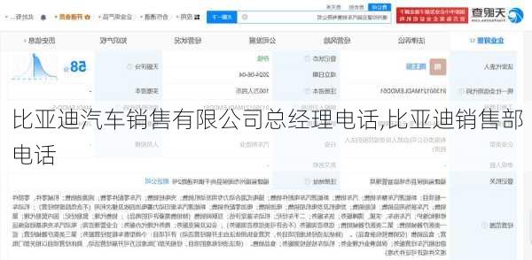 比亞迪汽車銷售有限公司總經理電話,比亞迪銷售部電話