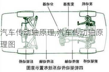 汽車(chē)傳動(dòng)軸原理,汽車(chē)傳動(dòng)軸原理圖