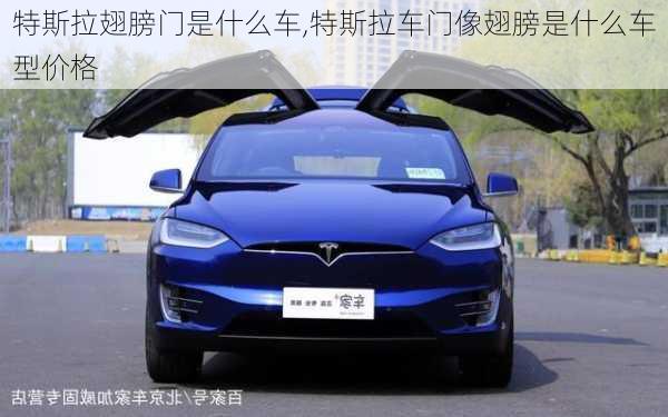 特斯拉翅膀門是什么車,特斯拉車門像翅膀是什么車型價(jià)格