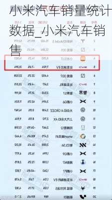 小米汽車銷量統(tǒng)計數(shù)據(jù)_小米汽車銷售