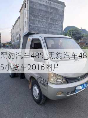 黑豹汽車485_黑豹汽車485小貨車2016圖片