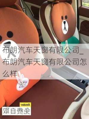 布朗汽車天窗有限公司_布朗汽車天窗有限公司怎么樣