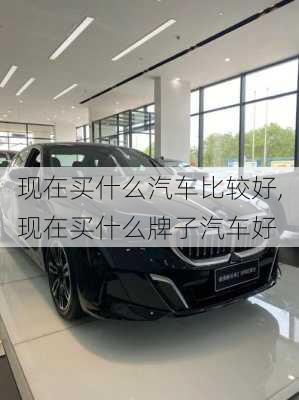 現(xiàn)在買什么汽車比較好,現(xiàn)在買什么牌子汽車好