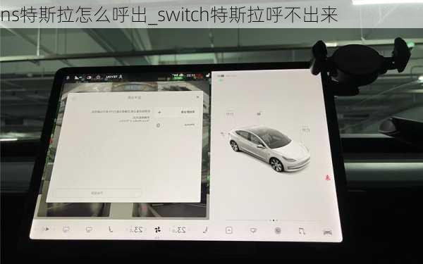 ns特斯拉怎么呼出_switch特斯拉呼不出來