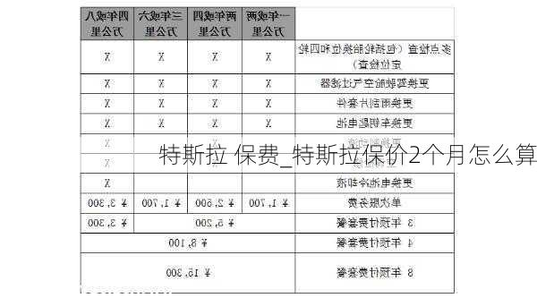 特斯拉 保費_特斯拉保價2個月怎么算