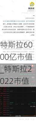 特斯拉6000億市值_特斯拉2022市值