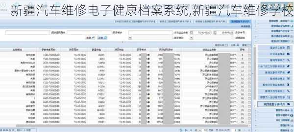 新疆汽車維修電子健康檔案系統(tǒng),新疆汽車維修學(xué)校