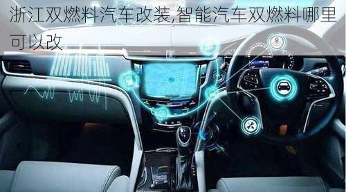 浙江雙燃料汽車改裝,智能汽車雙燃料哪里可以改