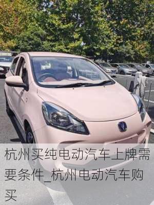 杭州買(mǎi)純電動(dòng)汽車(chē)上牌需要條件_杭州電動(dòng)汽車(chē)購(gòu)買(mǎi)