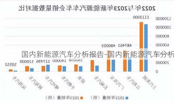 國(guó)內(nèi)新能源汽車分析報(bào)告-國(guó)內(nèi)新能源汽車分析