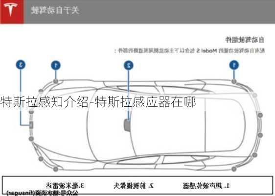 特斯拉感知介紹-特斯拉感應(yīng)器在哪