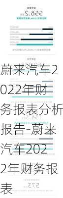 蔚來汽車2022年財(cái)務(wù)報(bào)表分析報(bào)告-蔚來汽車2022年財(cái)務(wù)報(bào)表