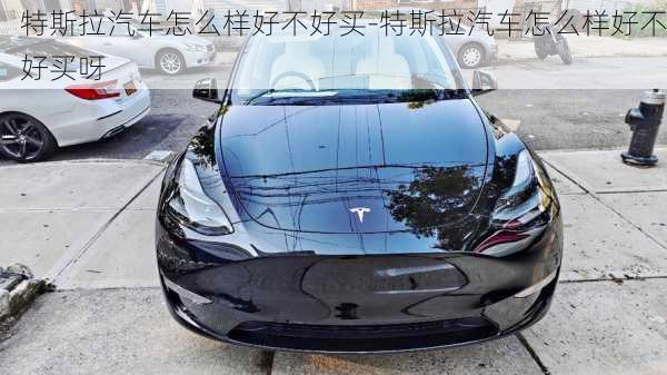 特斯拉汽車怎么樣好不好買-特斯拉汽車怎么樣好不好買呀