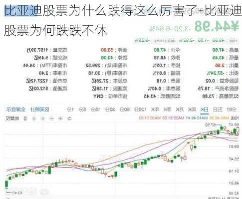 比亞迪股票為什么跌得這么厲害了-比亞迪股票為何跌跌不休