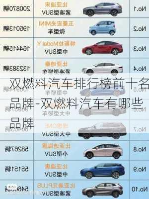 雙燃料汽車排行榜前十名品牌-雙燃料汽車有哪些品牌