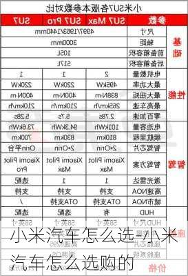 小米汽車怎么選-小米汽車怎么選購(gòu)的