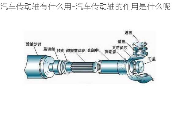 汽車(chē)傳動(dòng)軸有什么用-汽車(chē)傳動(dòng)軸的作用是什么呢