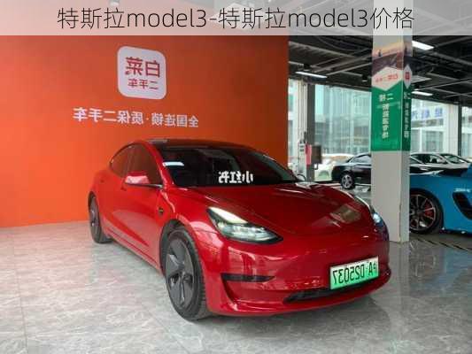 特斯拉model3-特斯拉model3價格