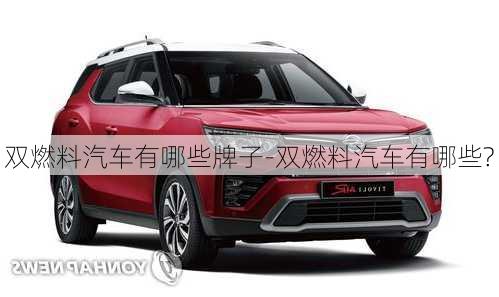 雙燃料汽車有哪些牌子-雙燃料汽車有哪些?