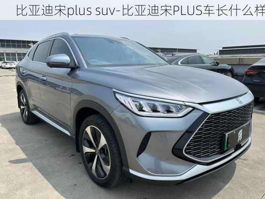 比亞迪宋plus suv-比亞迪宋PLUS車長什么樣