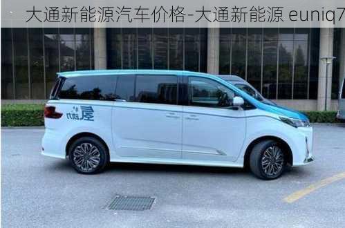 大通新能源汽車價格-大通新能源 euniq7