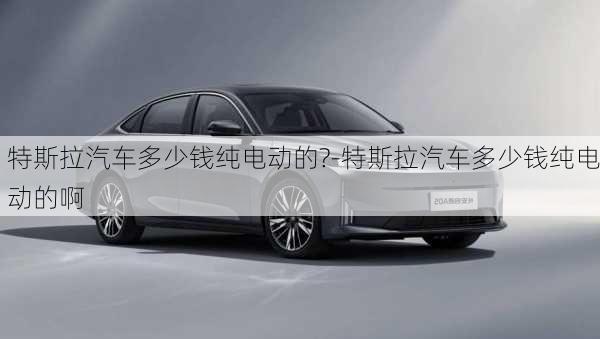 特斯拉汽車多少錢純電動的?-特斯拉汽車多少錢純電動的啊