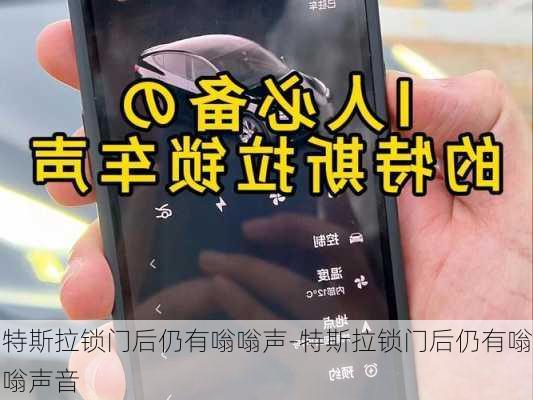 特斯拉鎖門后仍有嗡嗡聲-特斯拉鎖門后仍有嗡嗡聲音