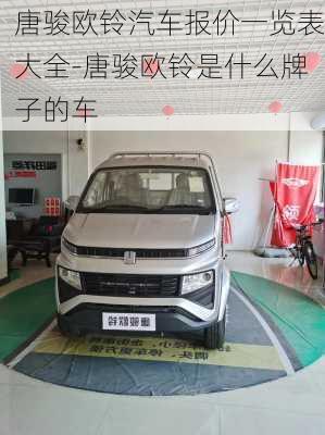 唐駿歐鈴汽車報(bào)價(jià)一覽表大全-唐駿歐鈴是什么牌子的車