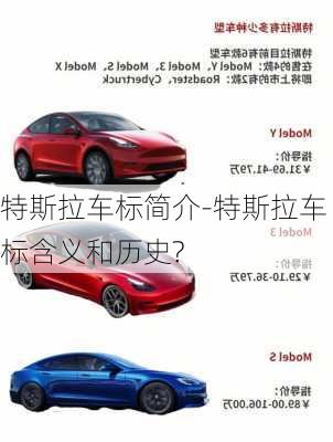 特斯拉車標(biāo)簡(jiǎn)介-特斯拉車標(biāo)含義和歷史?