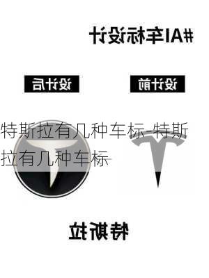 特斯拉有幾種車標-特斯拉有幾種車標