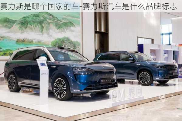 賽力斯是哪個國家的車-賽力斯汽車是什么品牌標志