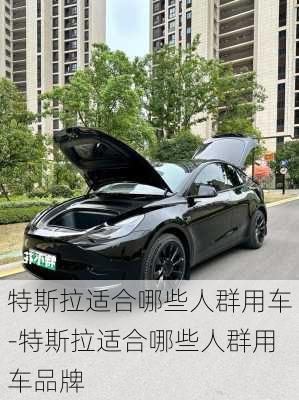 特斯拉適合哪些人群用車-特斯拉適合哪些人群用車品牌