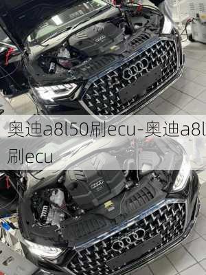 奧迪a8l50刷ecu-奧迪a8l刷ecu