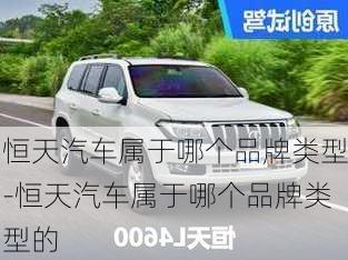 恒天汽車屬于哪個品牌類型-恒天汽車屬于哪個品牌類型的