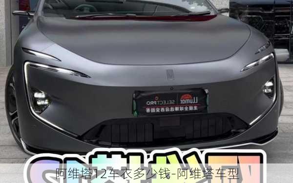 阿維塔12車衣多少錢-阿維塔車型