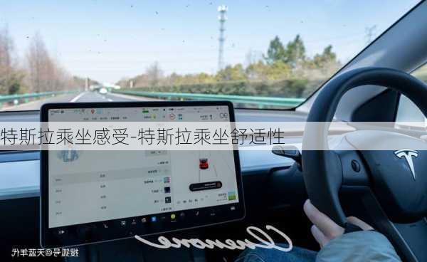 特斯拉乘坐感受-特斯拉乘坐舒適性