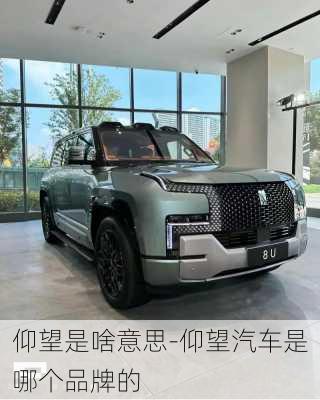 仰望是啥意思-仰望汽車是哪個品牌的