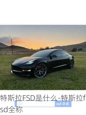 特斯拉FSD是什么-特斯拉fsd全稱(chēng)