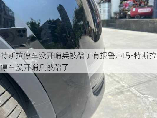 特斯拉停車沒開哨兵被蹭了有報警聲嗎-特斯拉停車沒開哨兵被蹭了