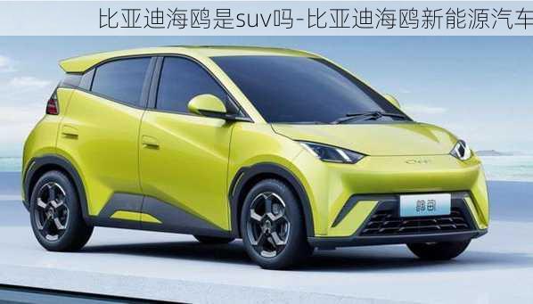 比亞迪海鷗是suv嗎-比亞迪海鷗新能源汽車