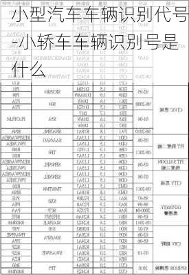 小型汽車車輛識(shí)別代號(hào)-小轎車車輛識(shí)別號(hào)是什么