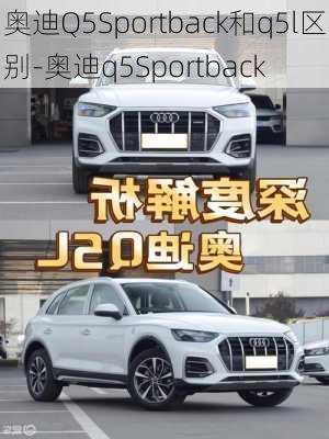 奧迪Q5Sportback和q5l區(qū)別-奧迪q5Sportback