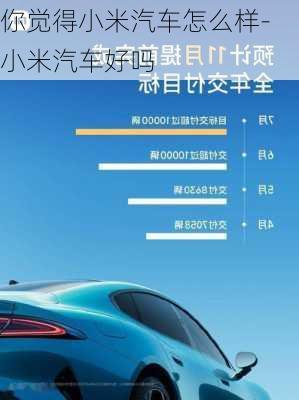 你覺得小米汽車怎么樣-小米汽車好嗎