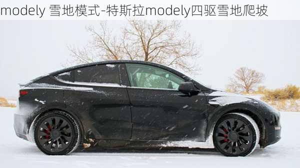 modely 雪地模式-特斯拉modely四驅(qū)雪地爬坡